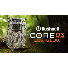 bushnell core no glow trail camera 119977c