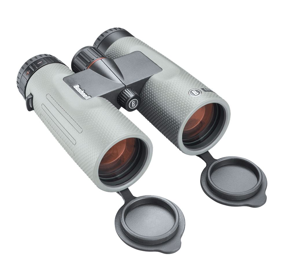 bushnell 10x42 binoculars